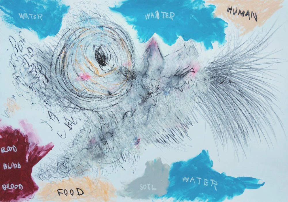 出目金